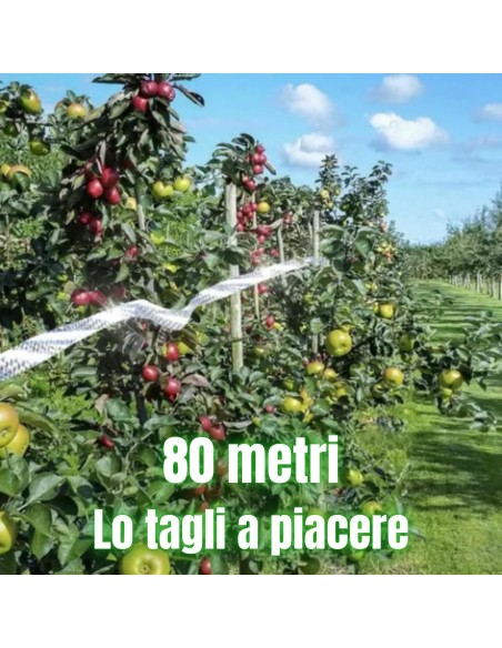 Sunrise Nastro Per Piccioni Nastro Dissuasore Per Piccioni 80 mt